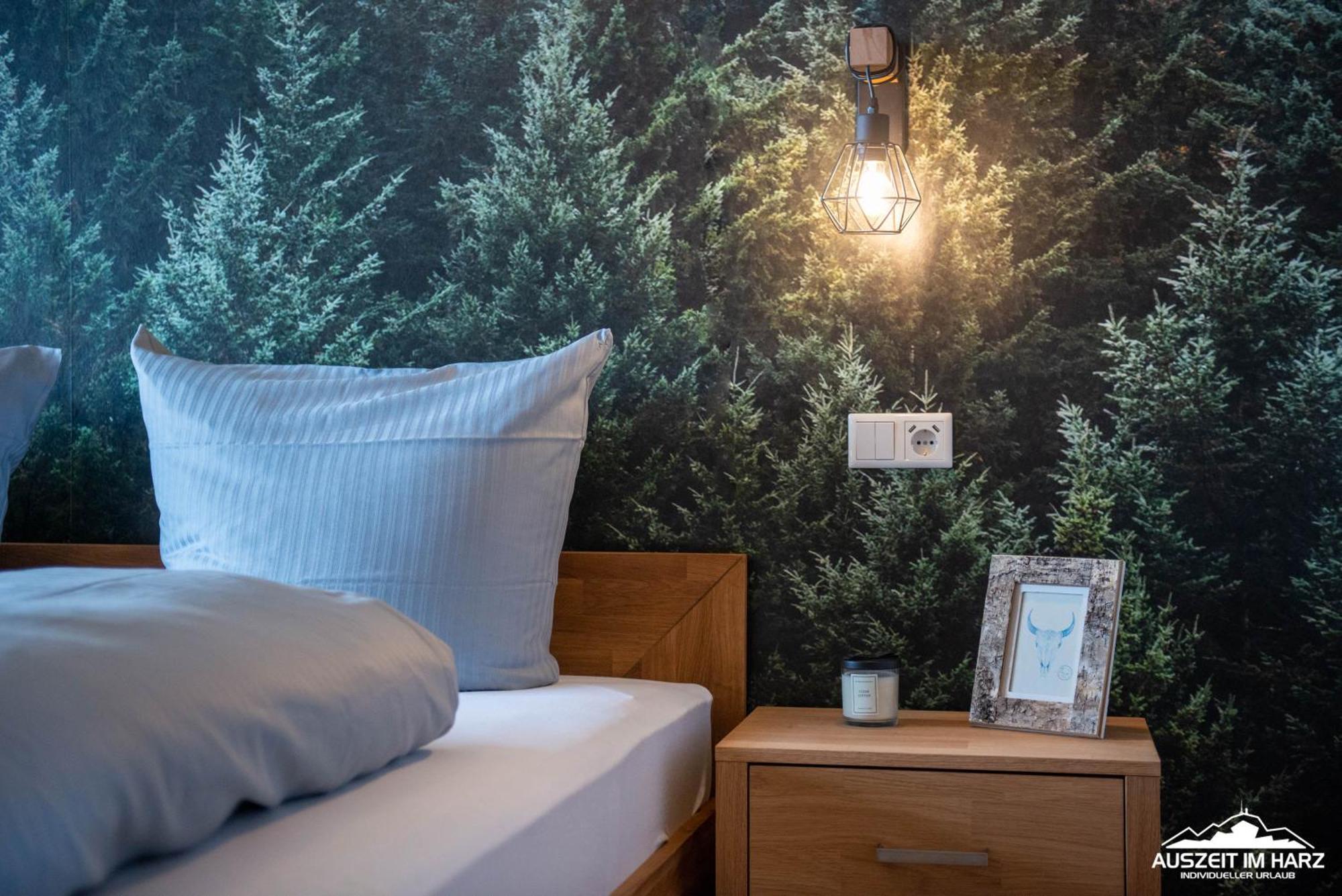 Auszeit Im Harz Haus 3 Wohnung 6 Braunlage Zewnętrze zdjęcie